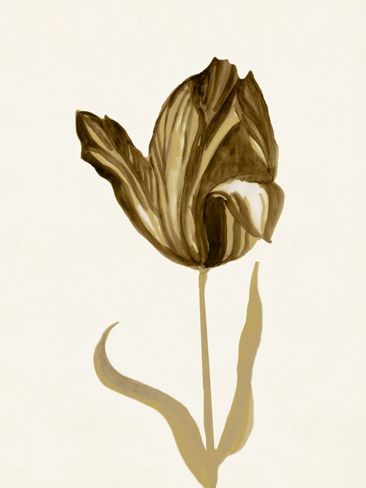 Sepia Studies 6 artwork
