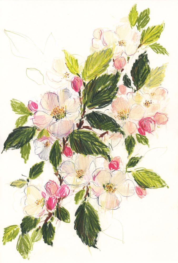 Blossom and Roses 1 artwork
