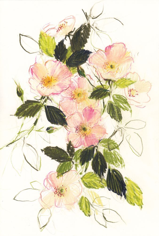 Blossom and Roses 2 artwork