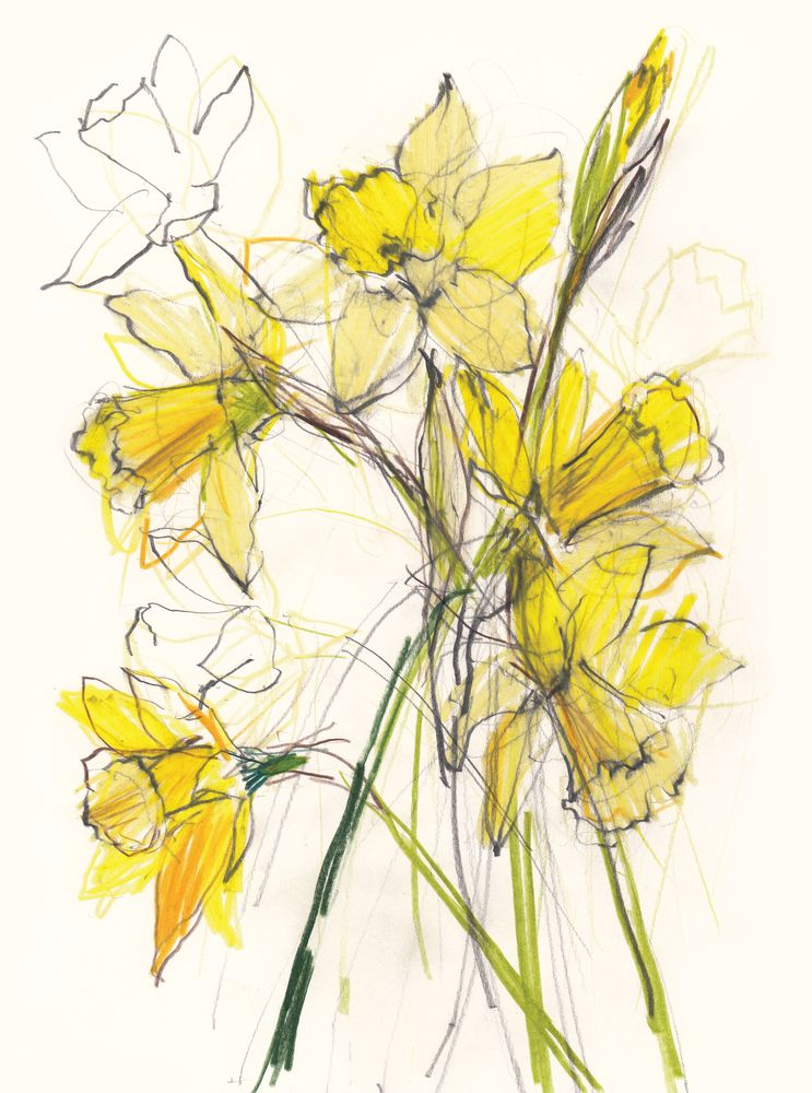 Bright Daffodils 1 artwork