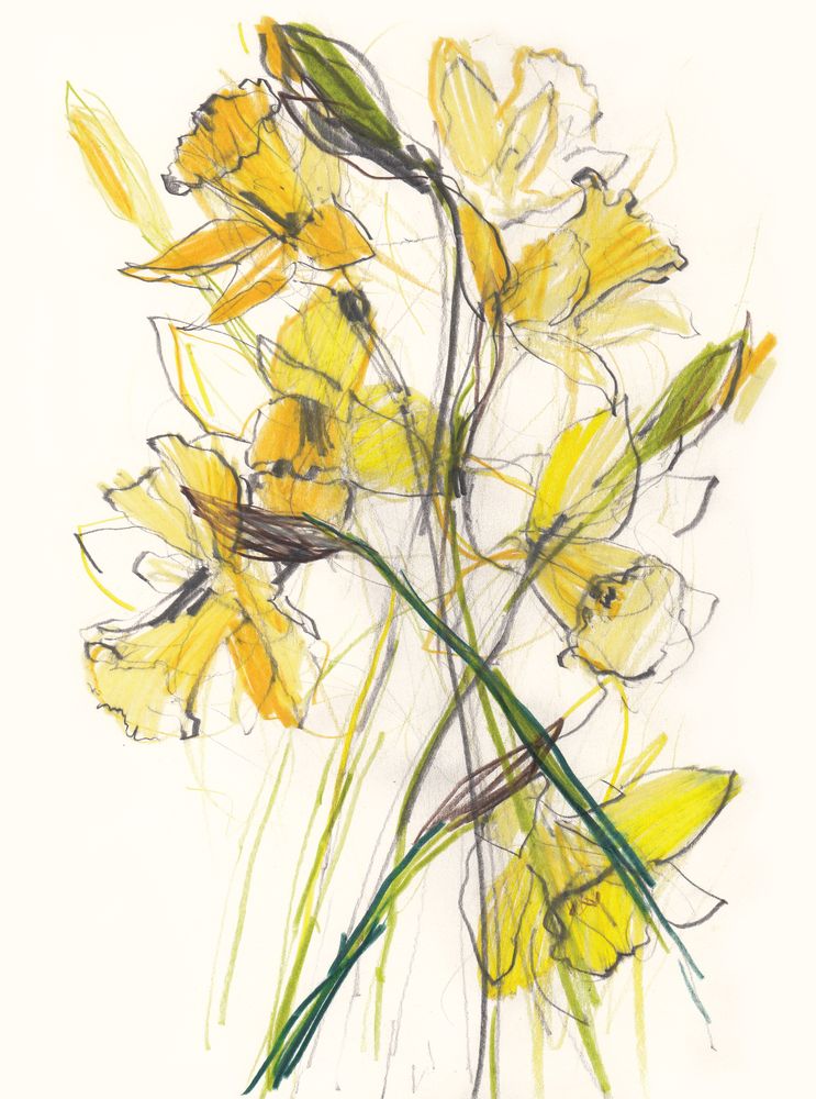 Bright Daffodils 2 artwork