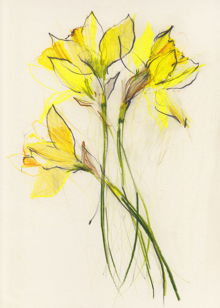 Daffodils 1 artwork