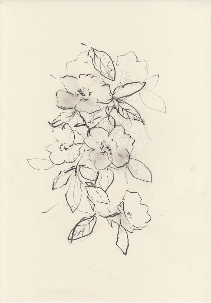 Dog Rose 1 artwork