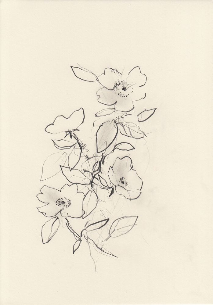 Dog Rose 2 artwork