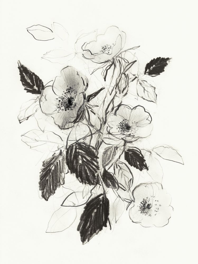 Dog Roses In Bloom 1 artwork
