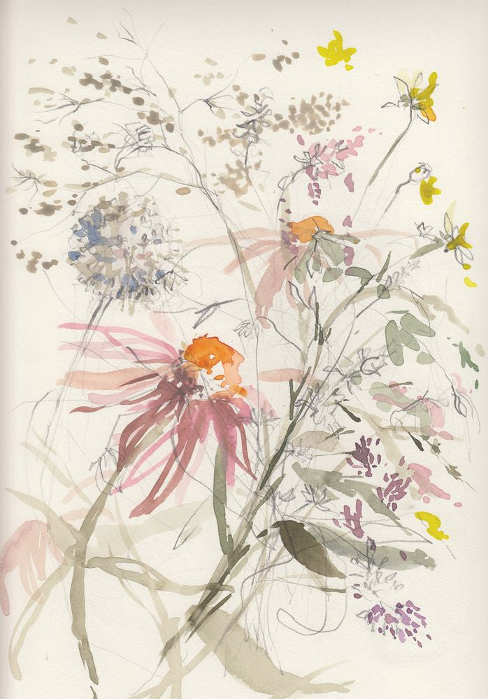 Echinacea 1 artwork