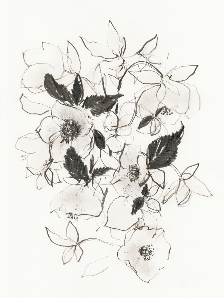 Hellebores in Bloom 1 artwork