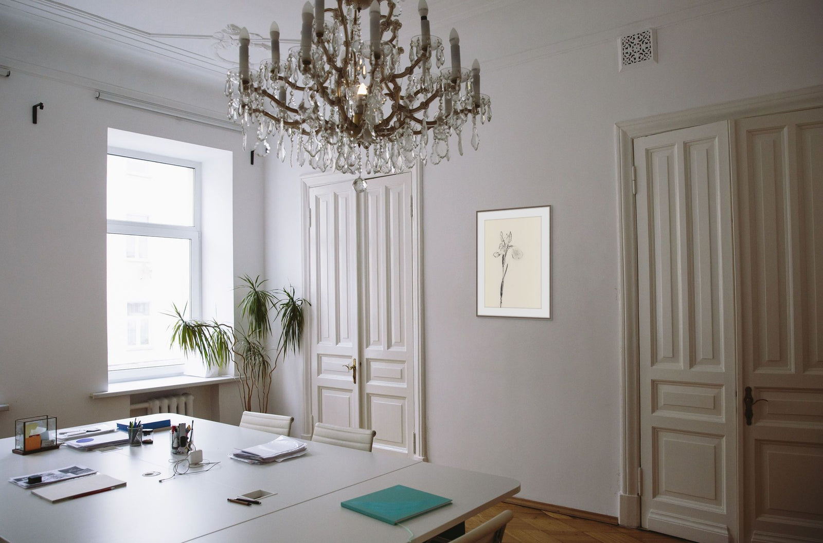 Iris 1 in a room