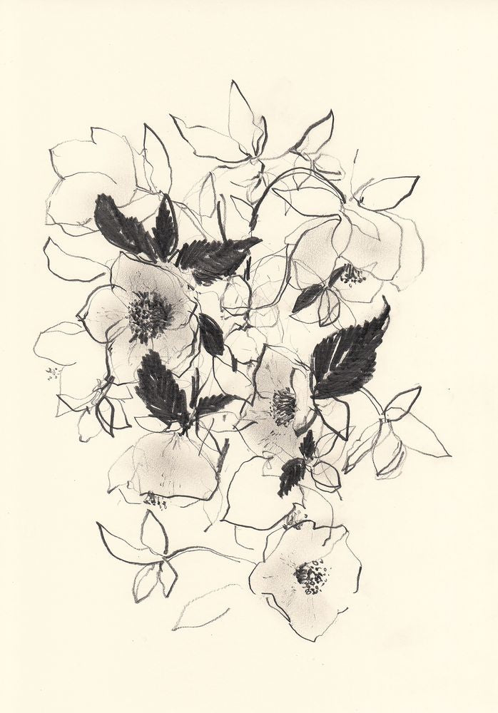 Morning Hellebores 1 artwork