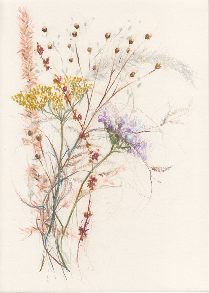 Notes of Autumn 1 artwork