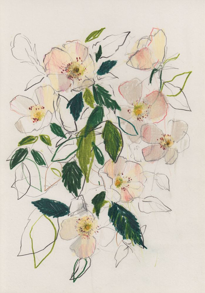 Soft Blush Dog Rose 1 artwork