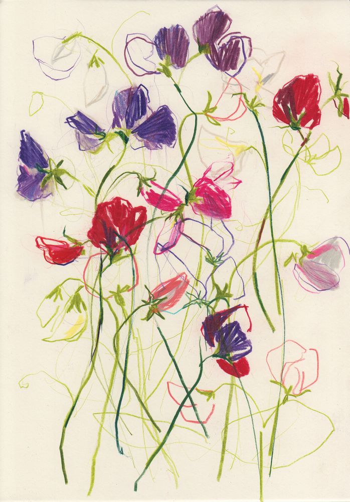 Sweet Peas 1 artwork
