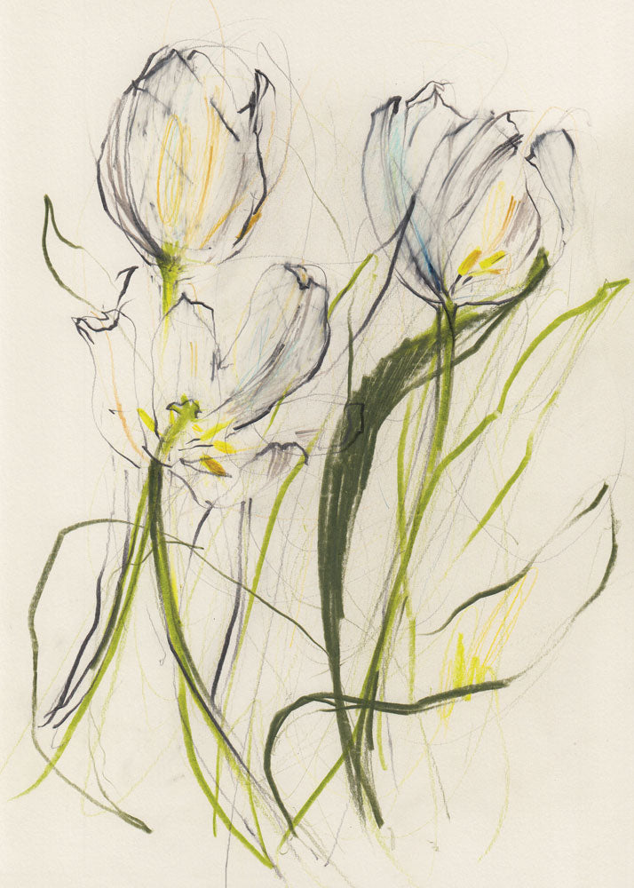 Tulips 2 artwork