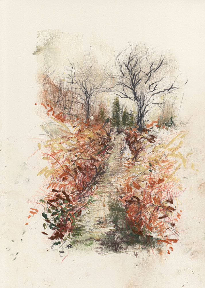 Through the Bracken 1 artwork