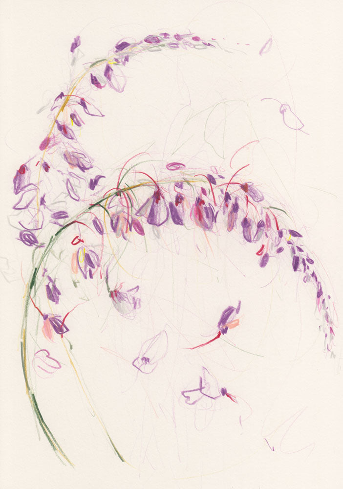 Wisteria 1 artwork