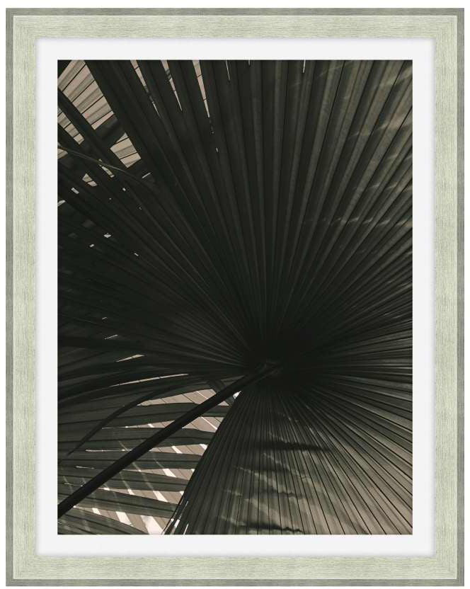 In the Shade 1 - Theodore Alexander