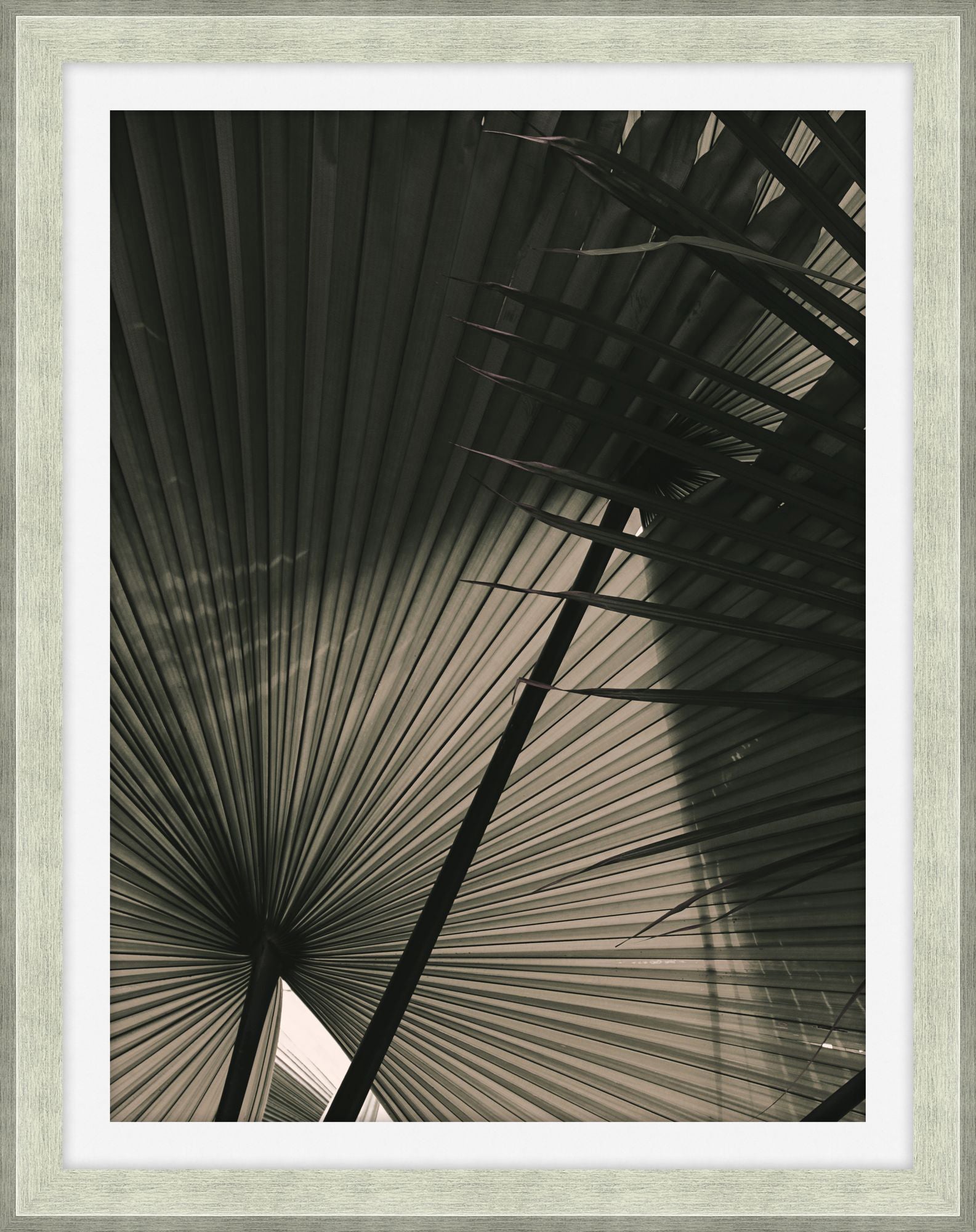 In the Shade 2 - Theodore Alexander