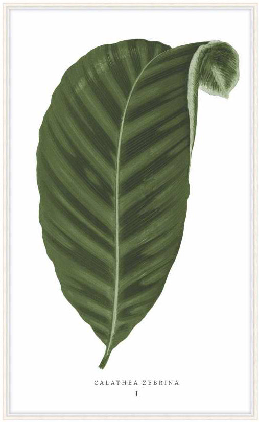 Green Trace 3 - Theodore Alexander