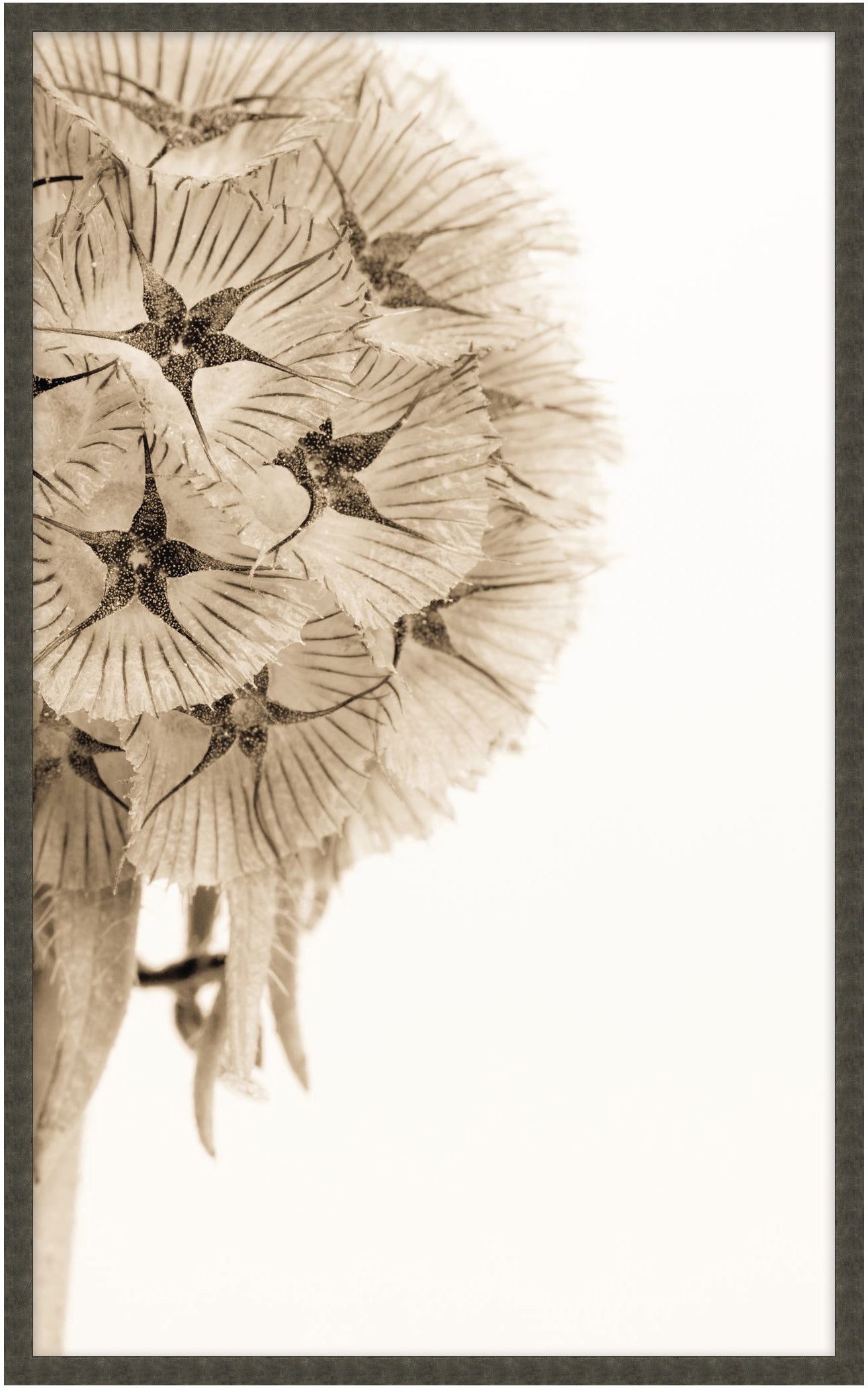 Dawning Bloom 1 - Theodore Alexander