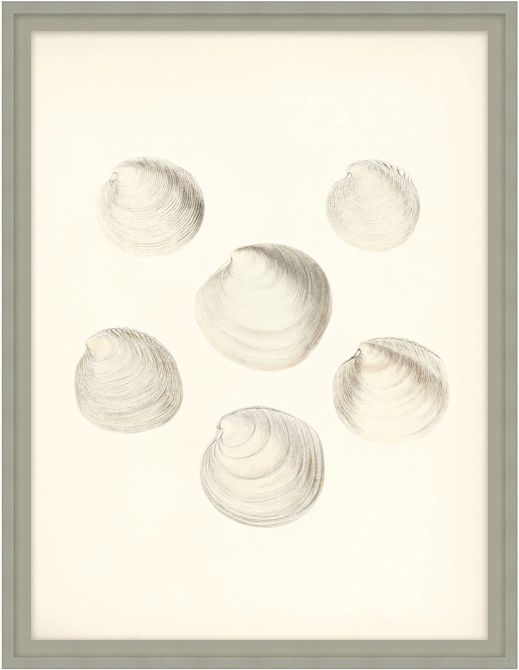 Sea Trinkets 1 - Theodore Alexander