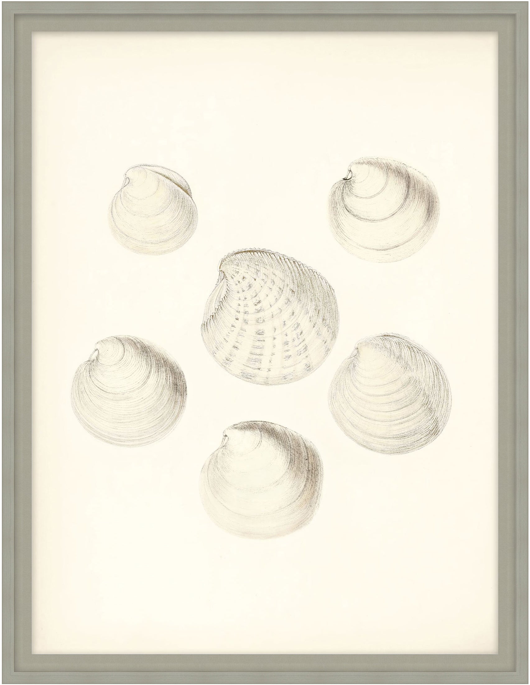 Shore's Treasure 1 - Theodore Alexander