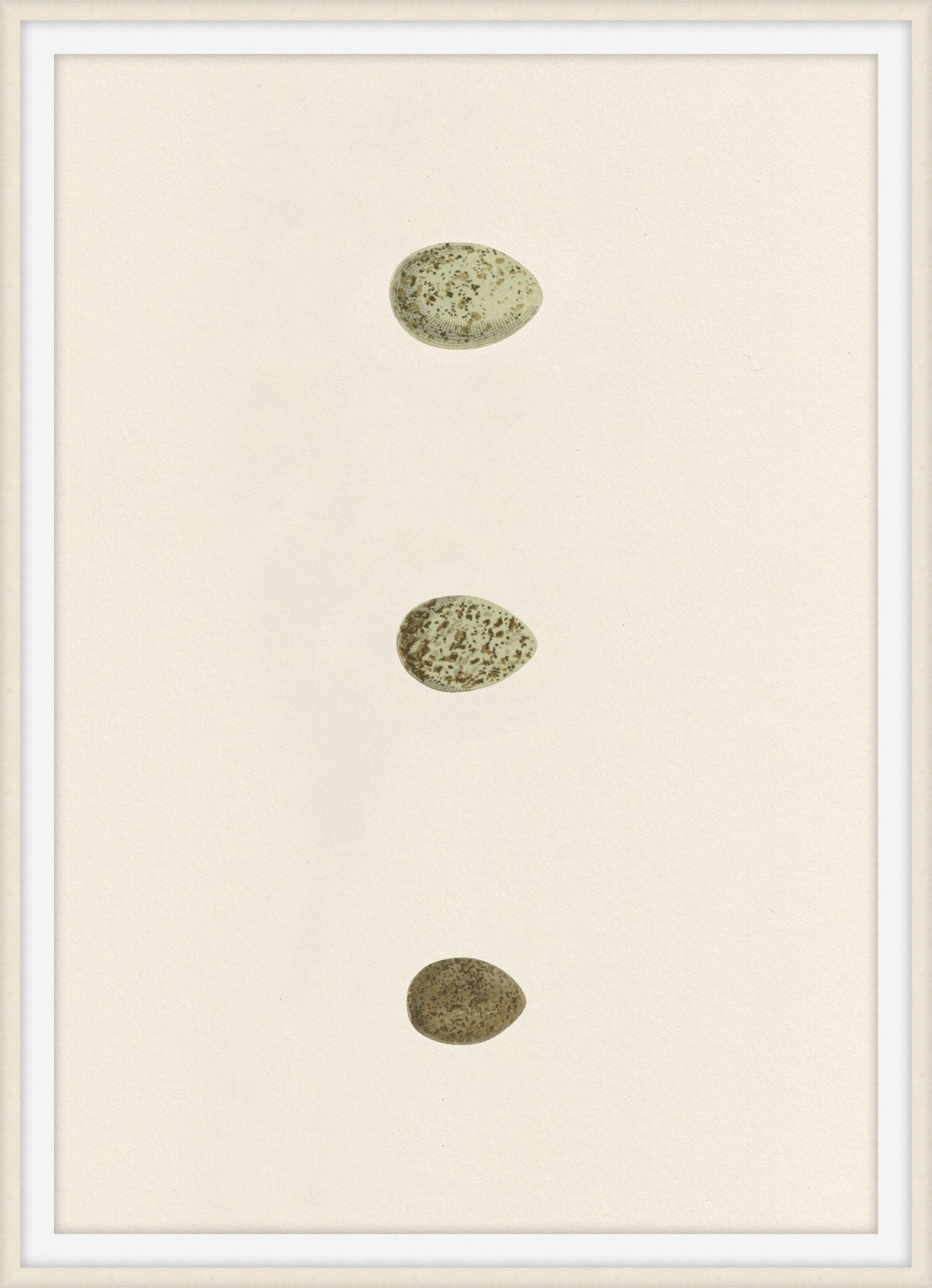 Unhatched 8 - Theodore Alexander