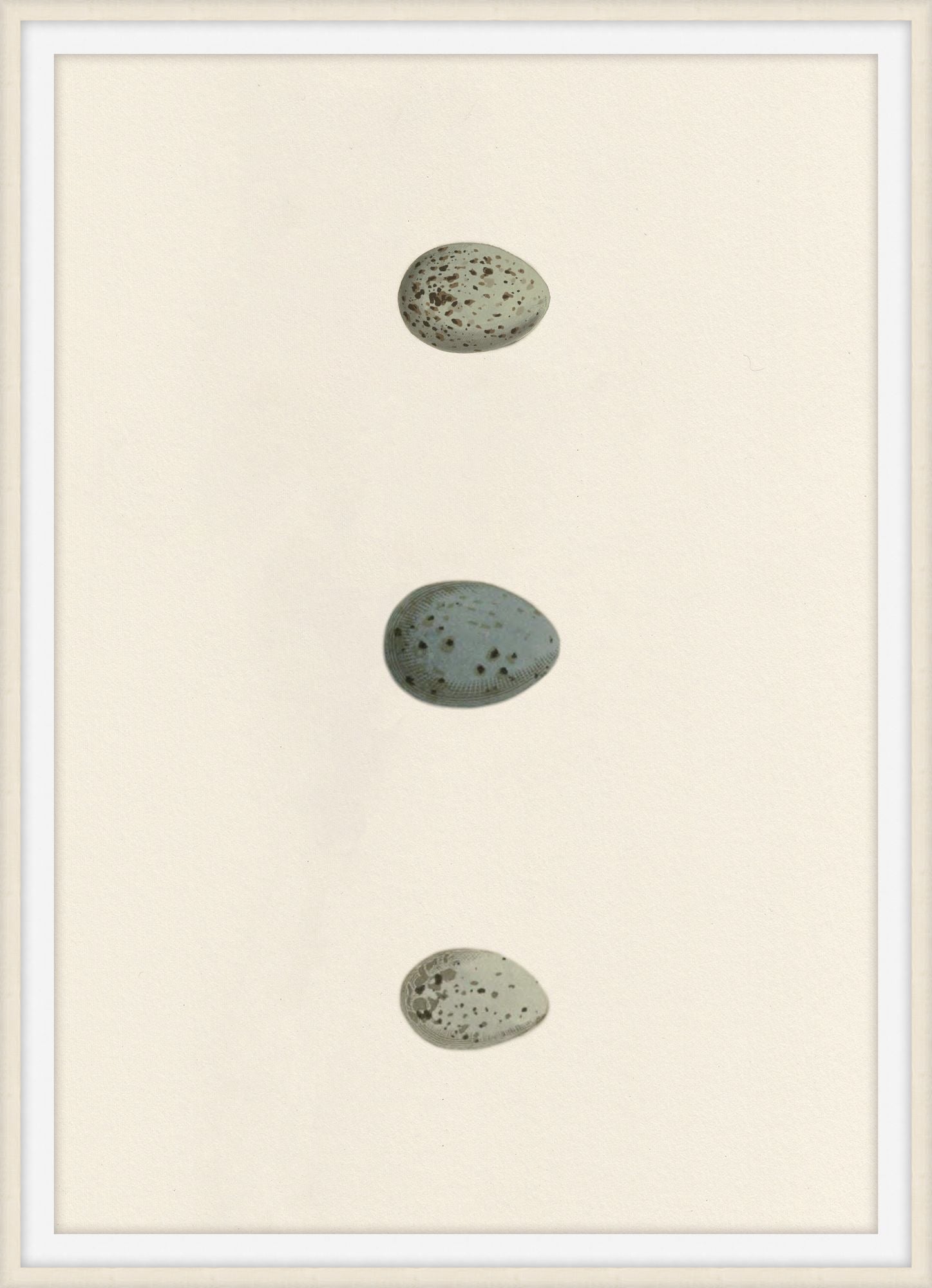 Unhatched 6 - Theodore Alexander