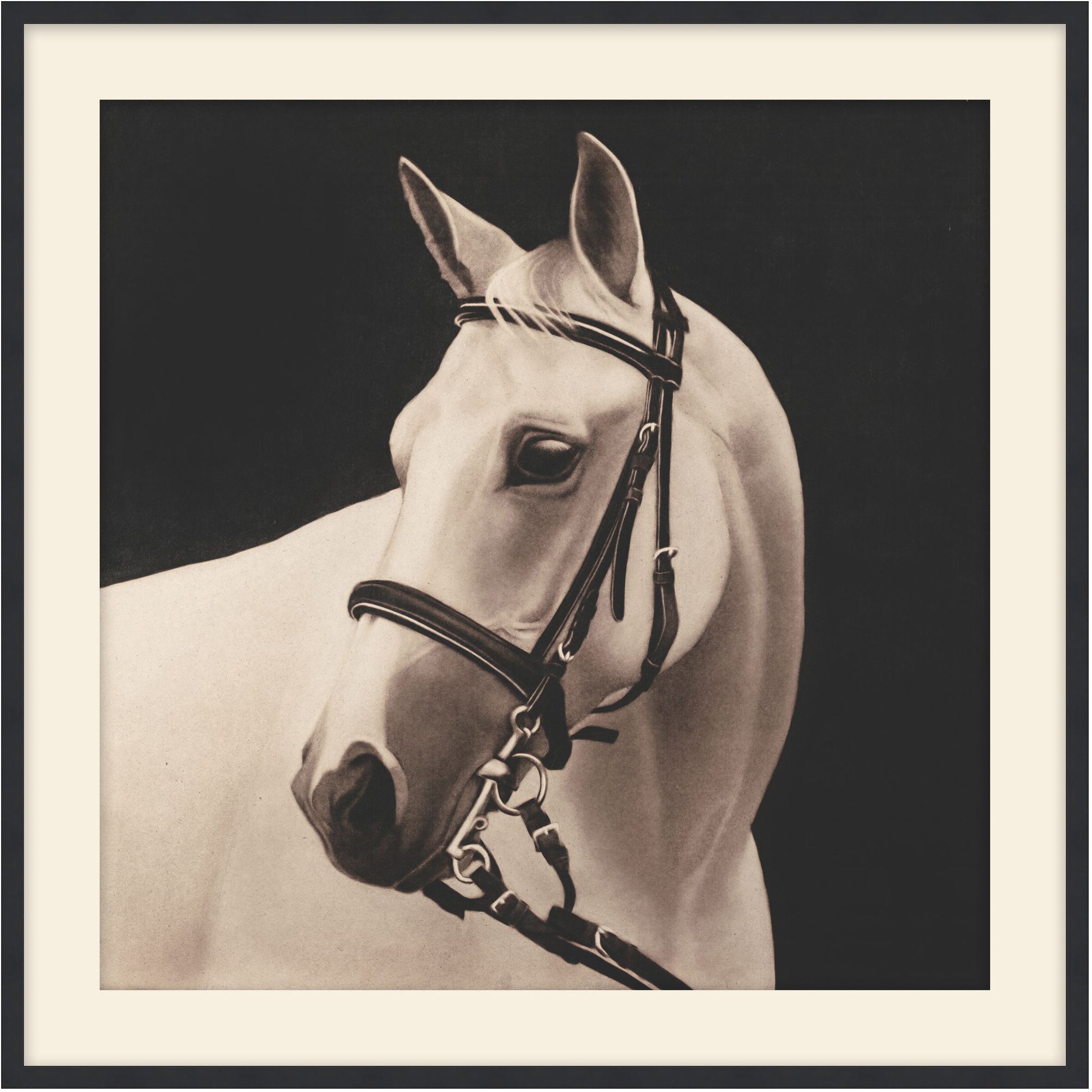 Comrade 1 - Theodore Alexander