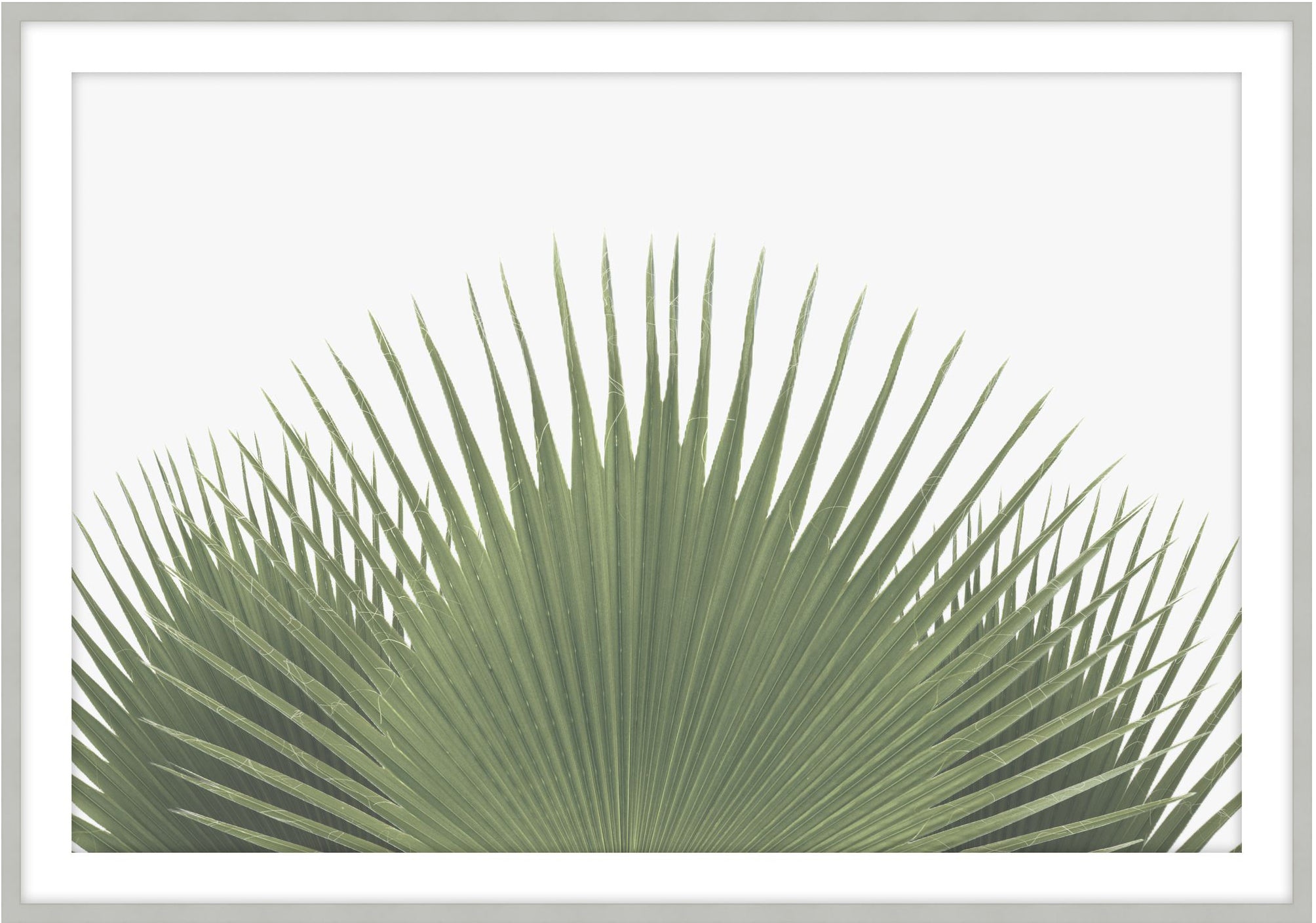 Tropical Leaves 2 - Theodore Alexander