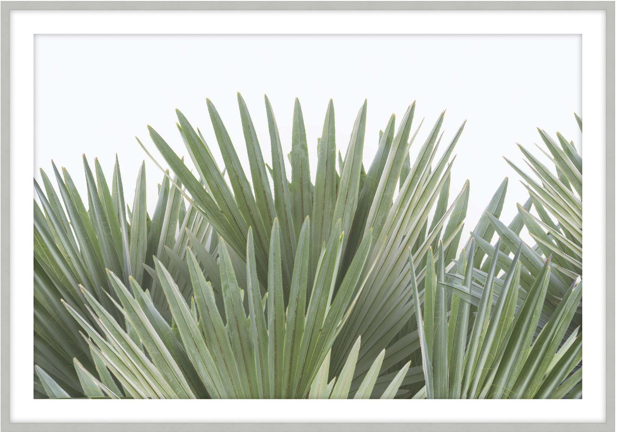 Tropical Leaves 6 - Theodore Alexander