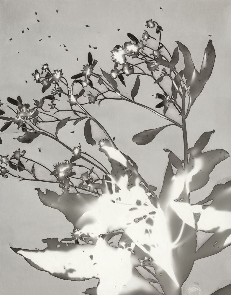 After All This Time 9 artwork