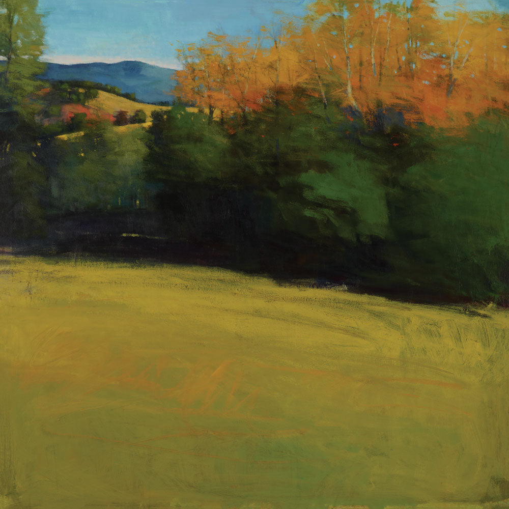 Mountain Vista 1 artwork