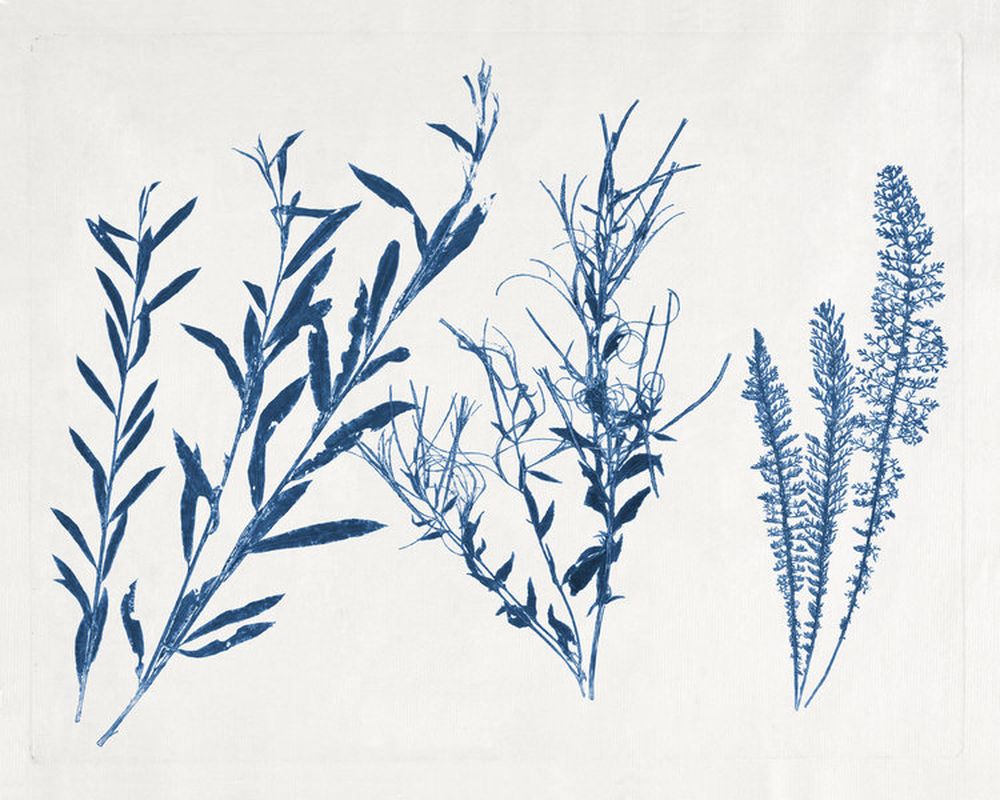 Blue and White Botanicals 1 artwork