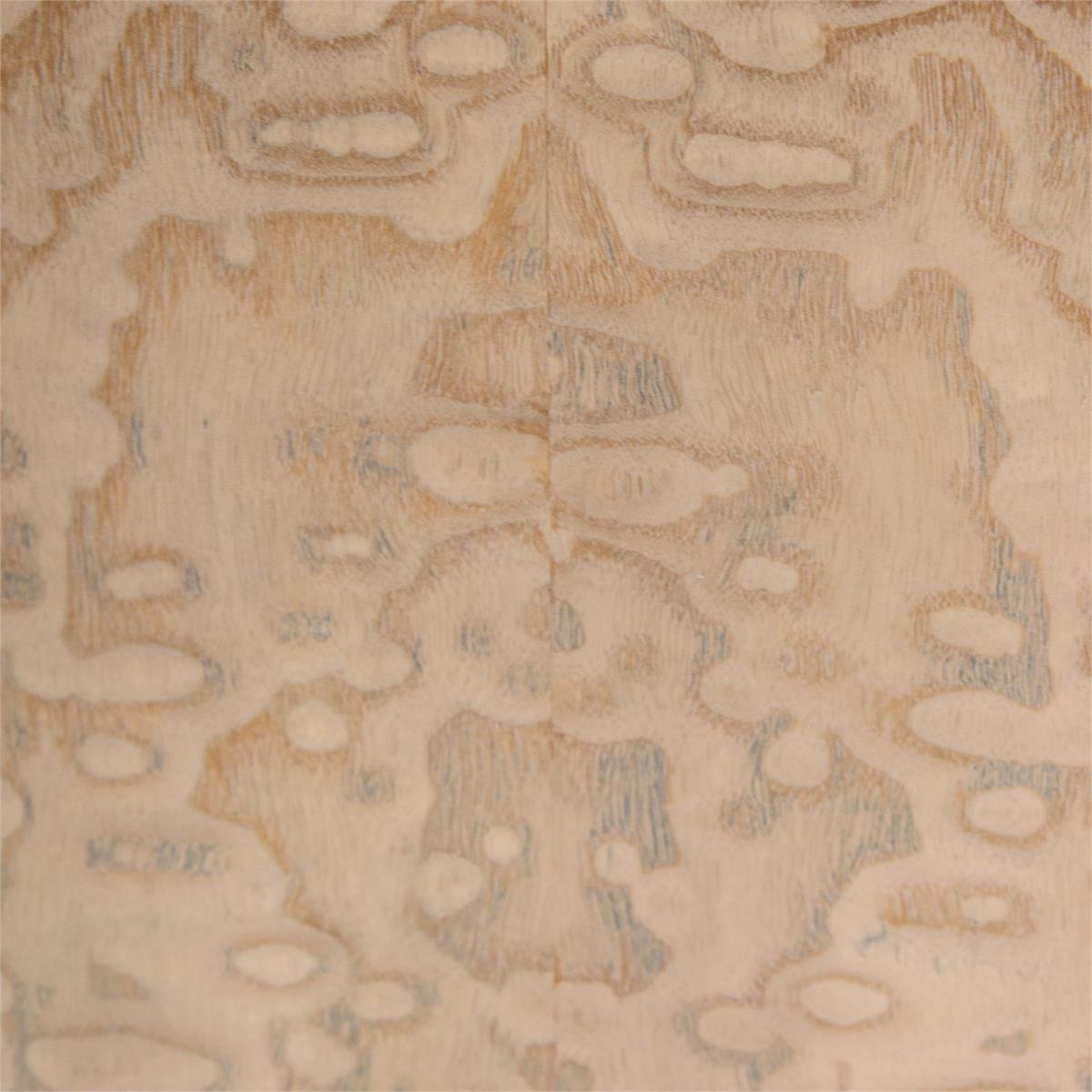 Butterfly Chest – Art by John Richard | Sutter & Vale