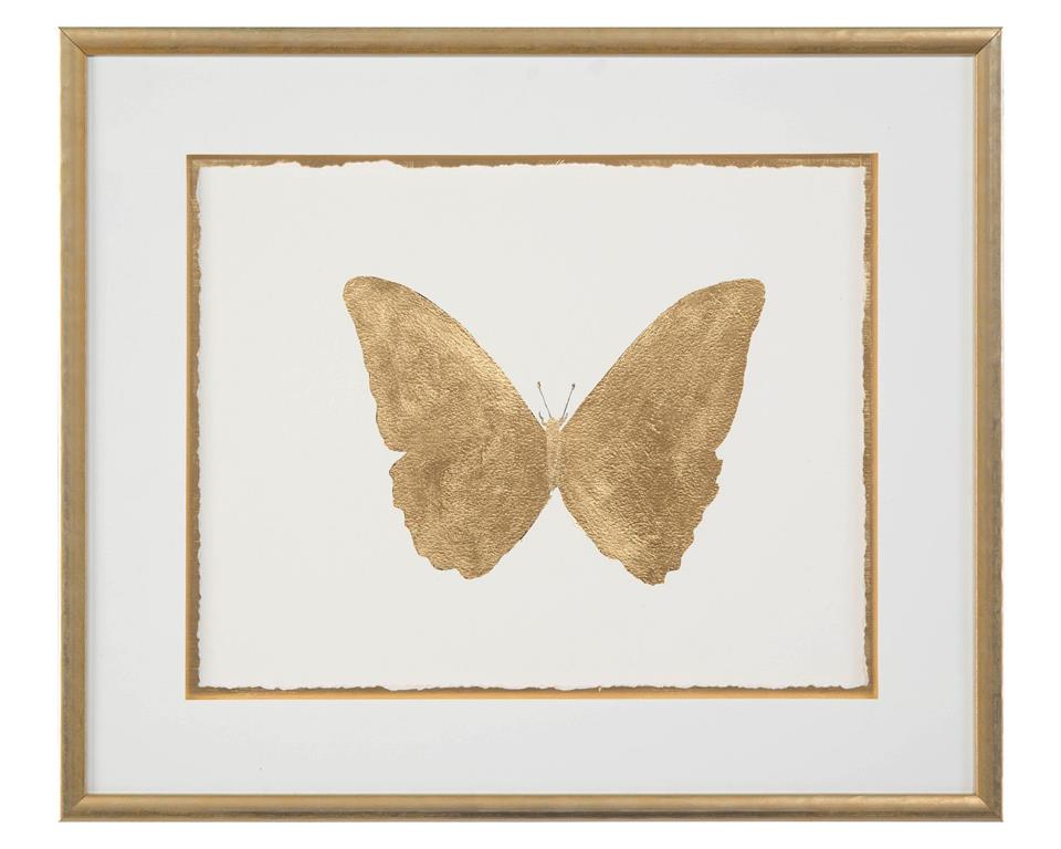 Shimmering Butterfly II by John Richard | Sutter & Vale