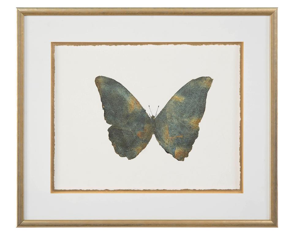 Shimmering Butterfly III by John Richard | Sutter & Vale