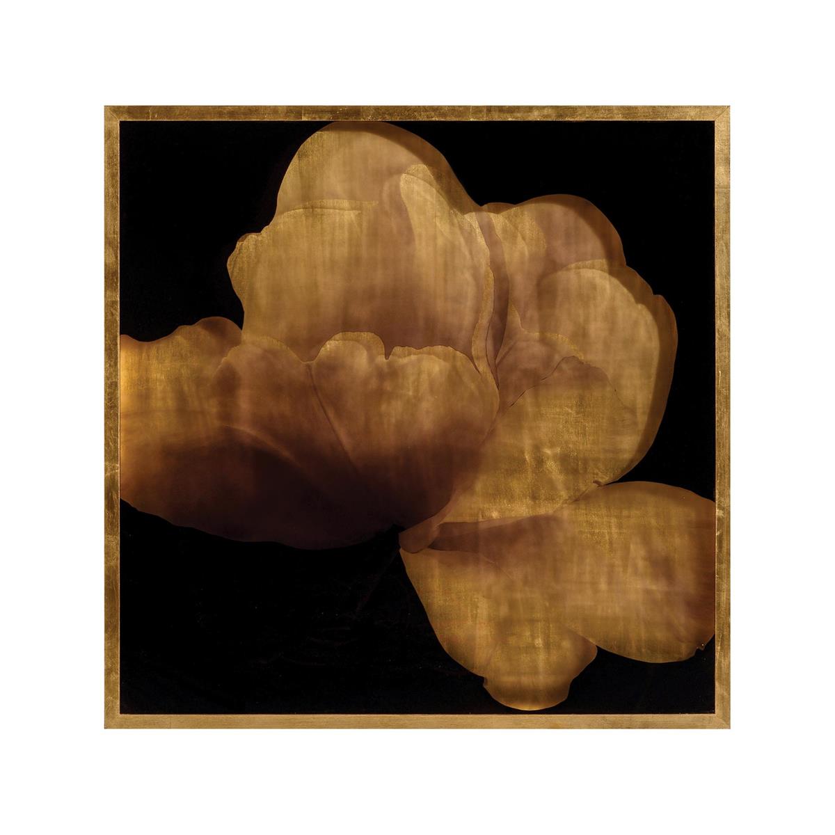 Mark McDowell's Kin Saki – Art by John Richard | Sutter & Vale
