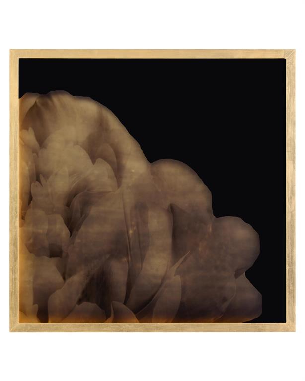 Mark McDowell's Shi Hana – Art by John Richard | Sutter & Vale