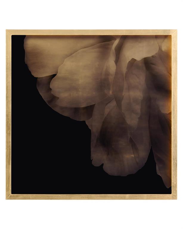 Mark McDowell's Shi Hana – Art by John Richard | Sutter & Vale