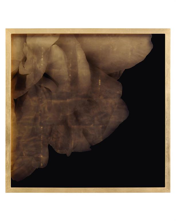 Mark McDowell's Shi Hana – Art by John Richard | Sutter & Vale