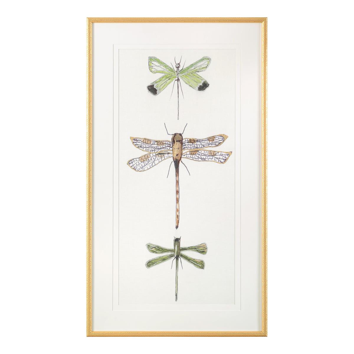 Joy Colangelo's Joyful Dragonflies I – Art by John Richard | Sutter & Vale