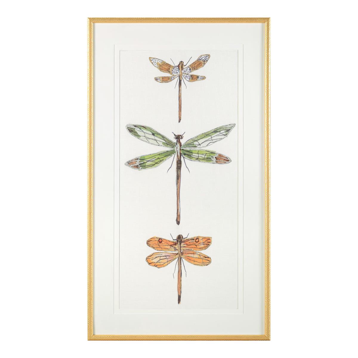 Joy Colangelo's Joyful Dragonflies II – Art by John Richard | Sutter & Vale