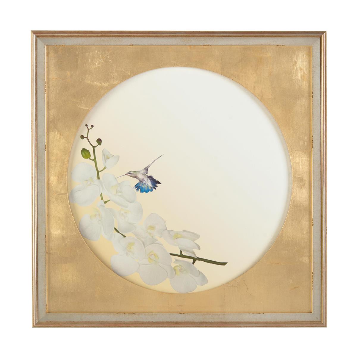 Hummingbirds in Flight I by John Richard | Sutter & Vale