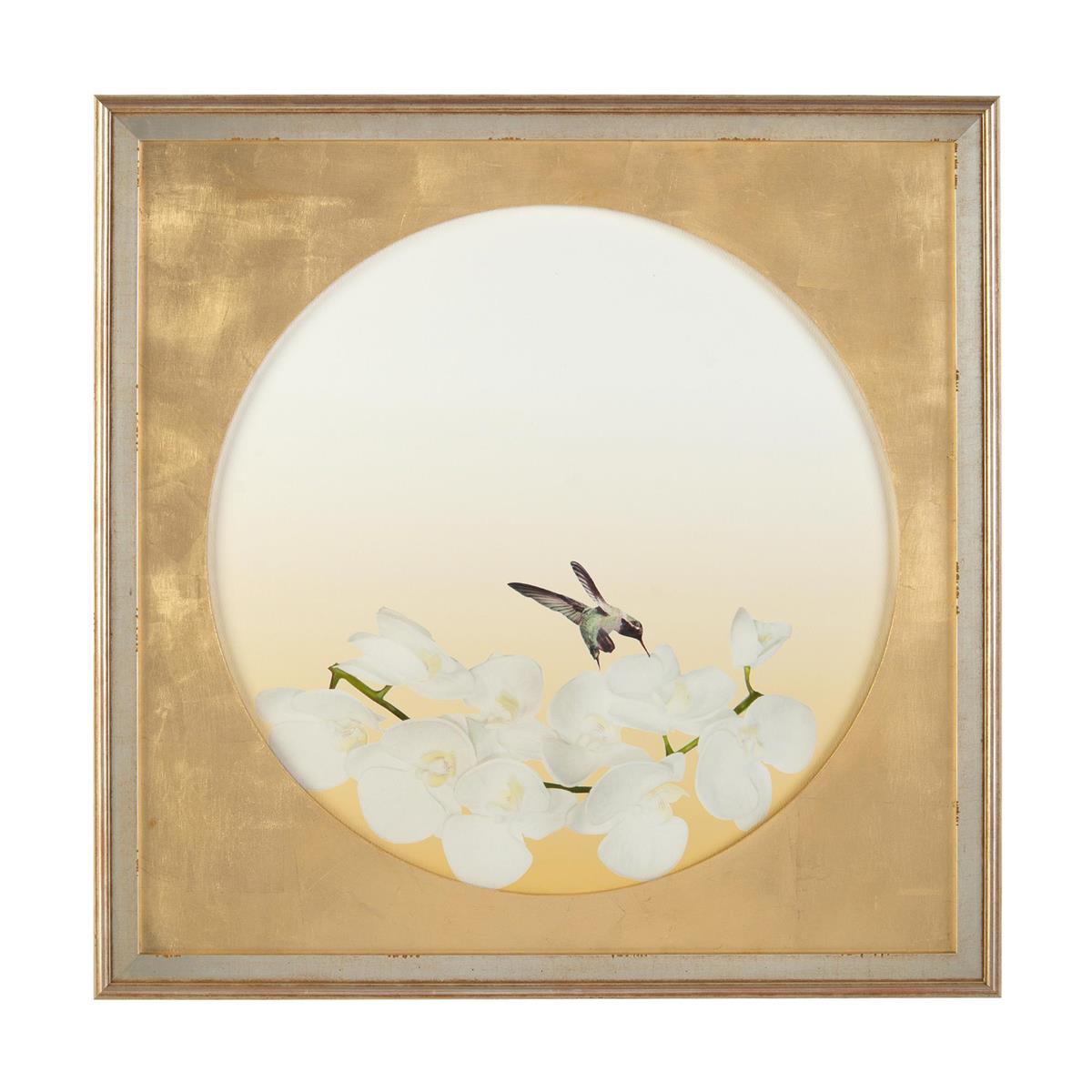 Hummingbirds in Flight II by John Richard | Sutter & Vale