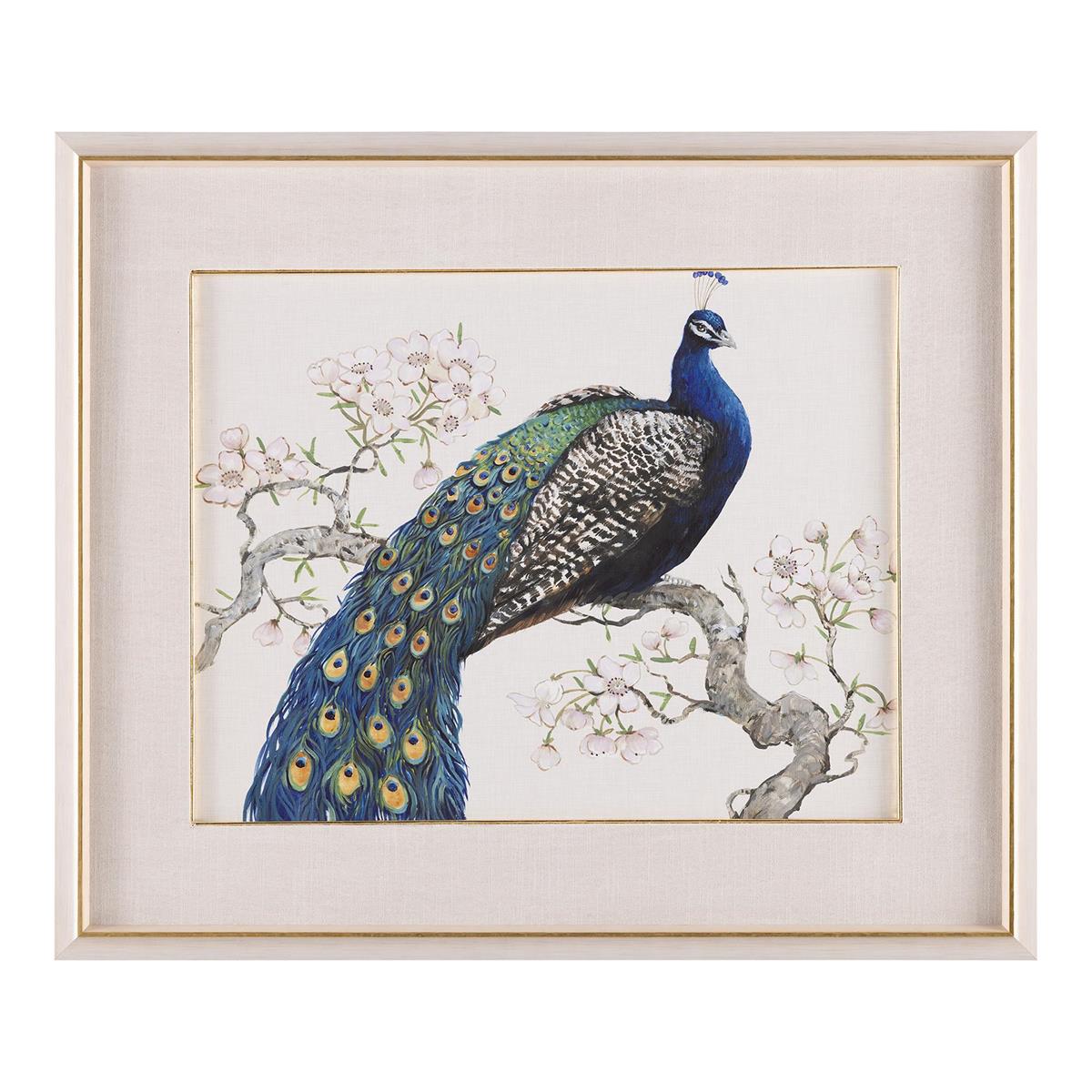 Tim O’Toole’s Peacock and Blossoms II by John Richard | Sutter & Vale