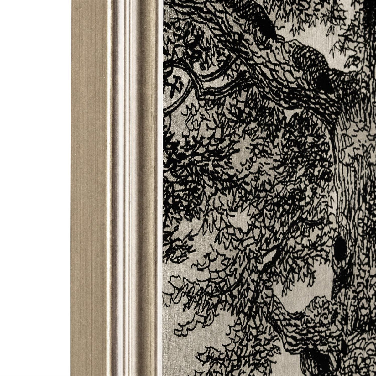 Grand Oaks Silver II