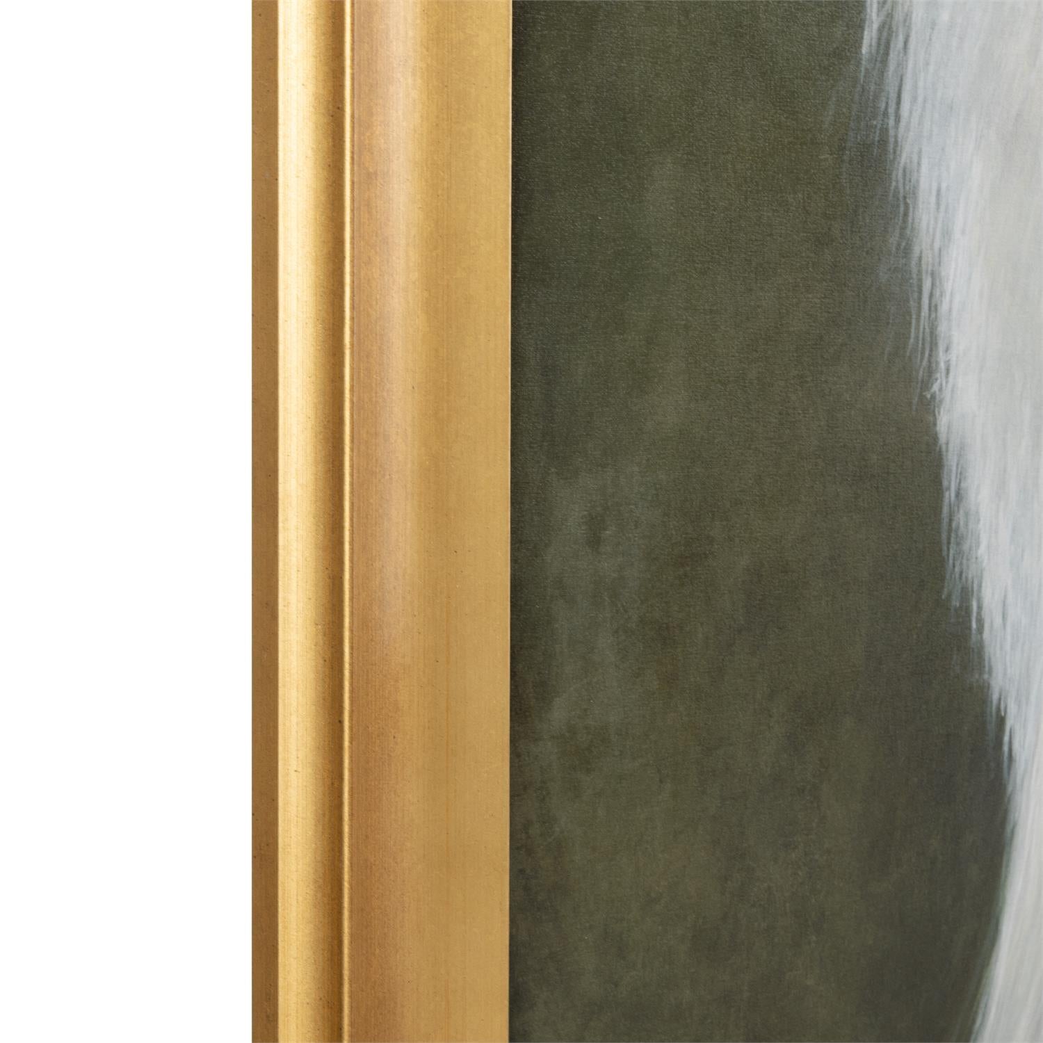 Debra Ferrari's The White Peacock