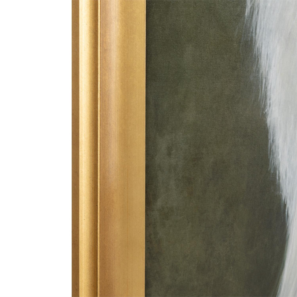 Debra Ferrari's The White Peacock
