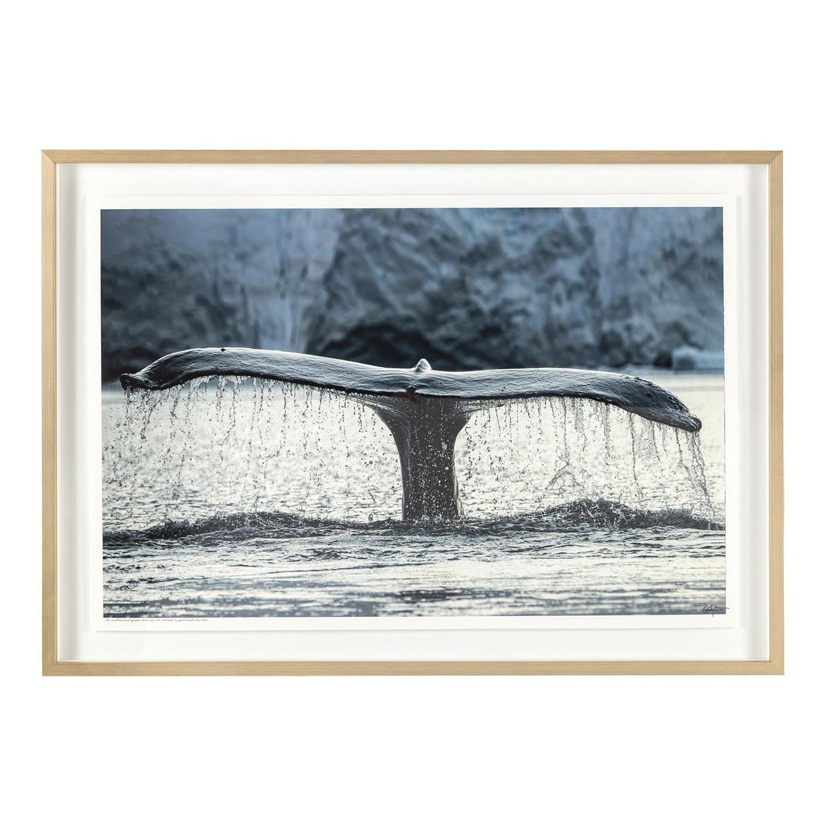 Rodney Bursiel's Whale of a Tale – Art by John Richard | Sutter & Vale