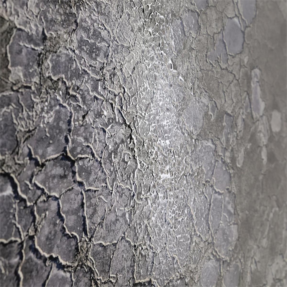 Rodney Bursiel's Salt Fields – Art by John Richard | Sutter & Vale